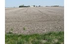 Property photo 27 - 172 Acres Offered in 3 Tracts - Prime Farmland